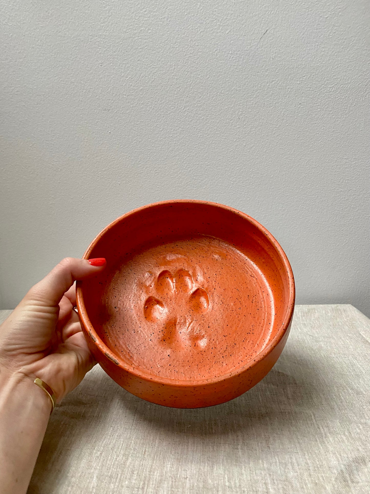 Chara pet bowl (large)