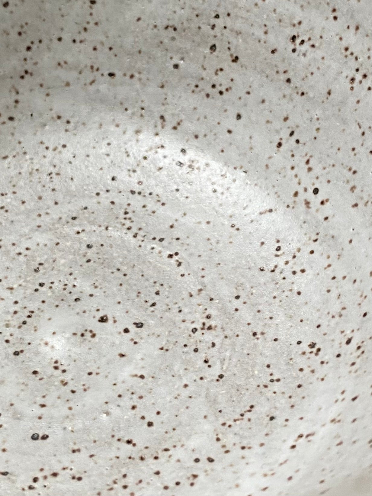 Mert pet bowl (medium)