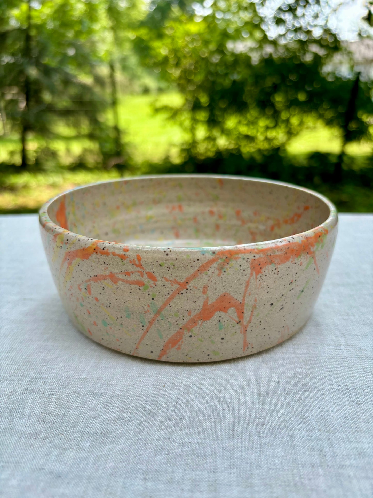 dog bowl - splatterpaint