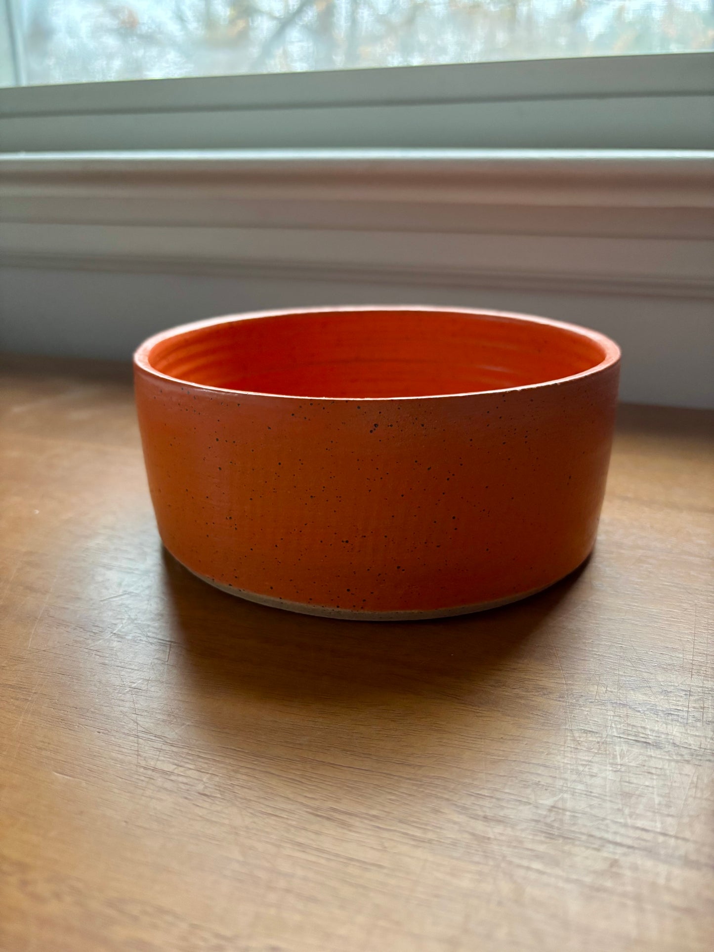 dog bowl - orange