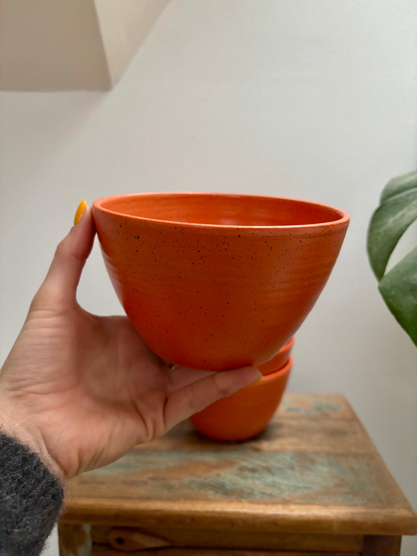 breakfast bowl - orange