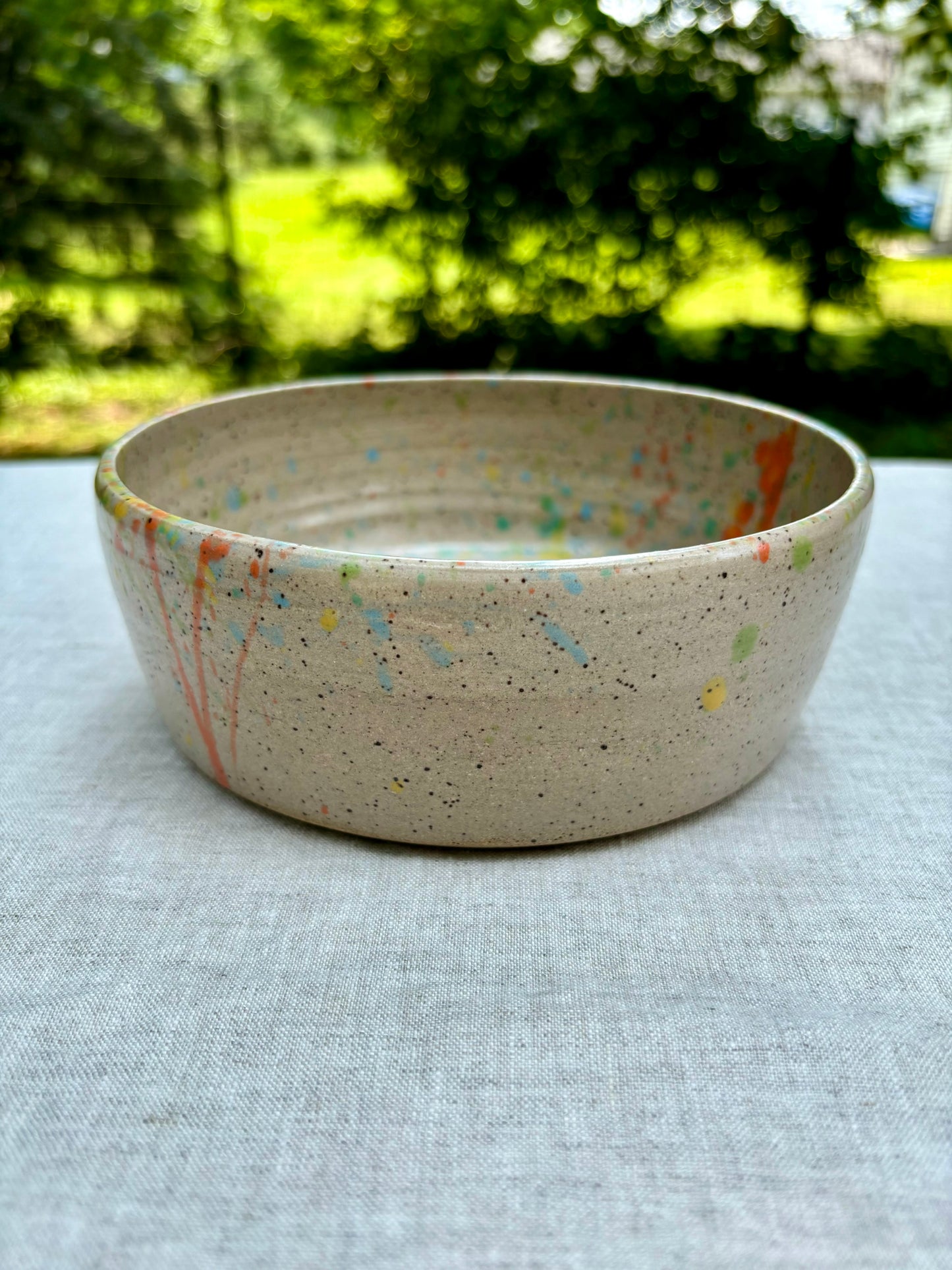 dog bowl - splatterpaint